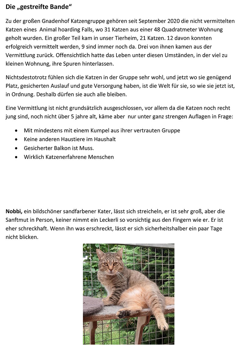 Gnadenhof Katzen 4